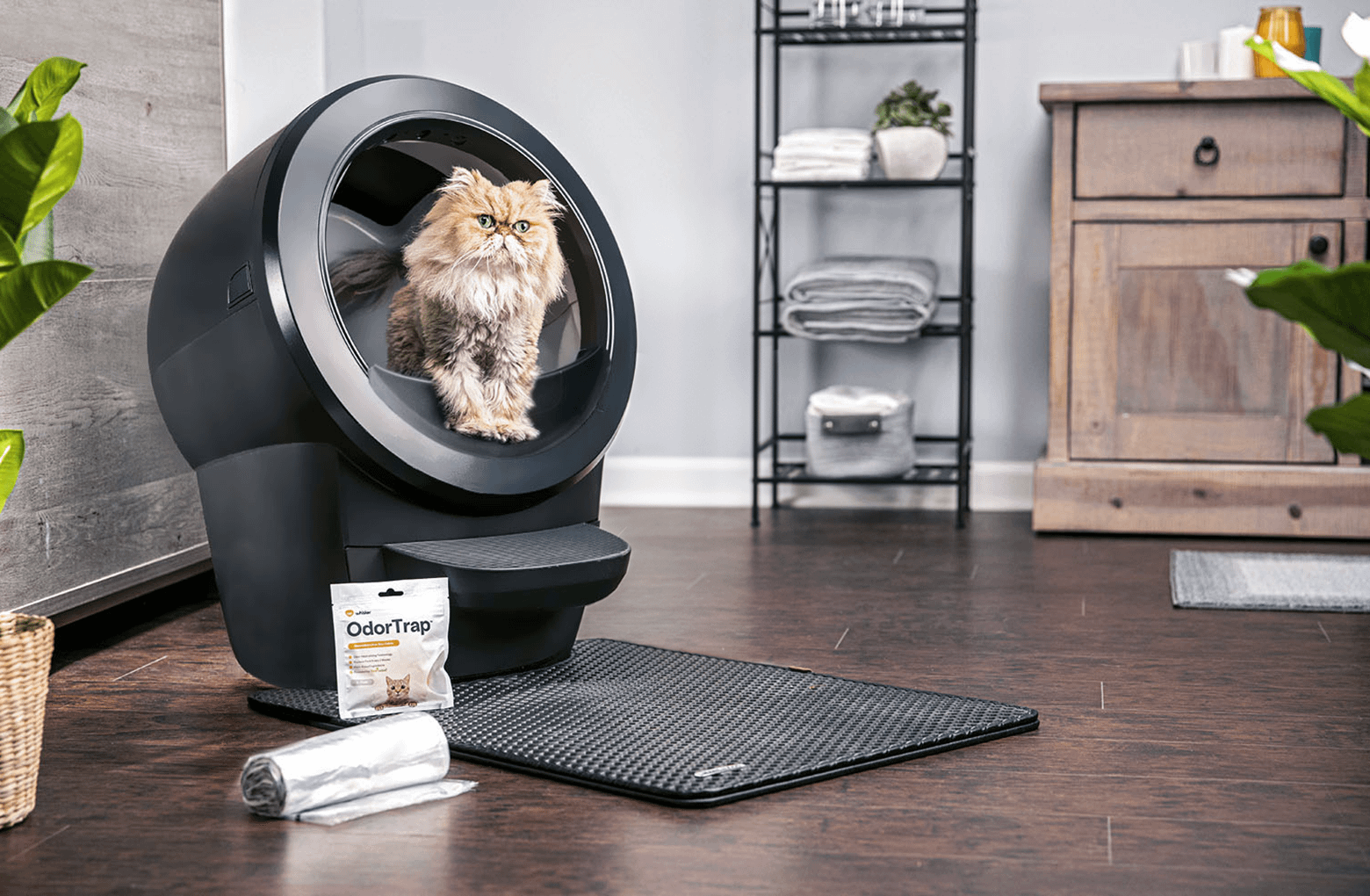 Litter Robot 4 Basics Bundle Litter Robot Canada Litter Robot