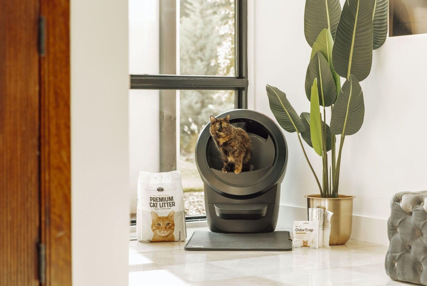 Litter Robot Black Friday Sale Live Now