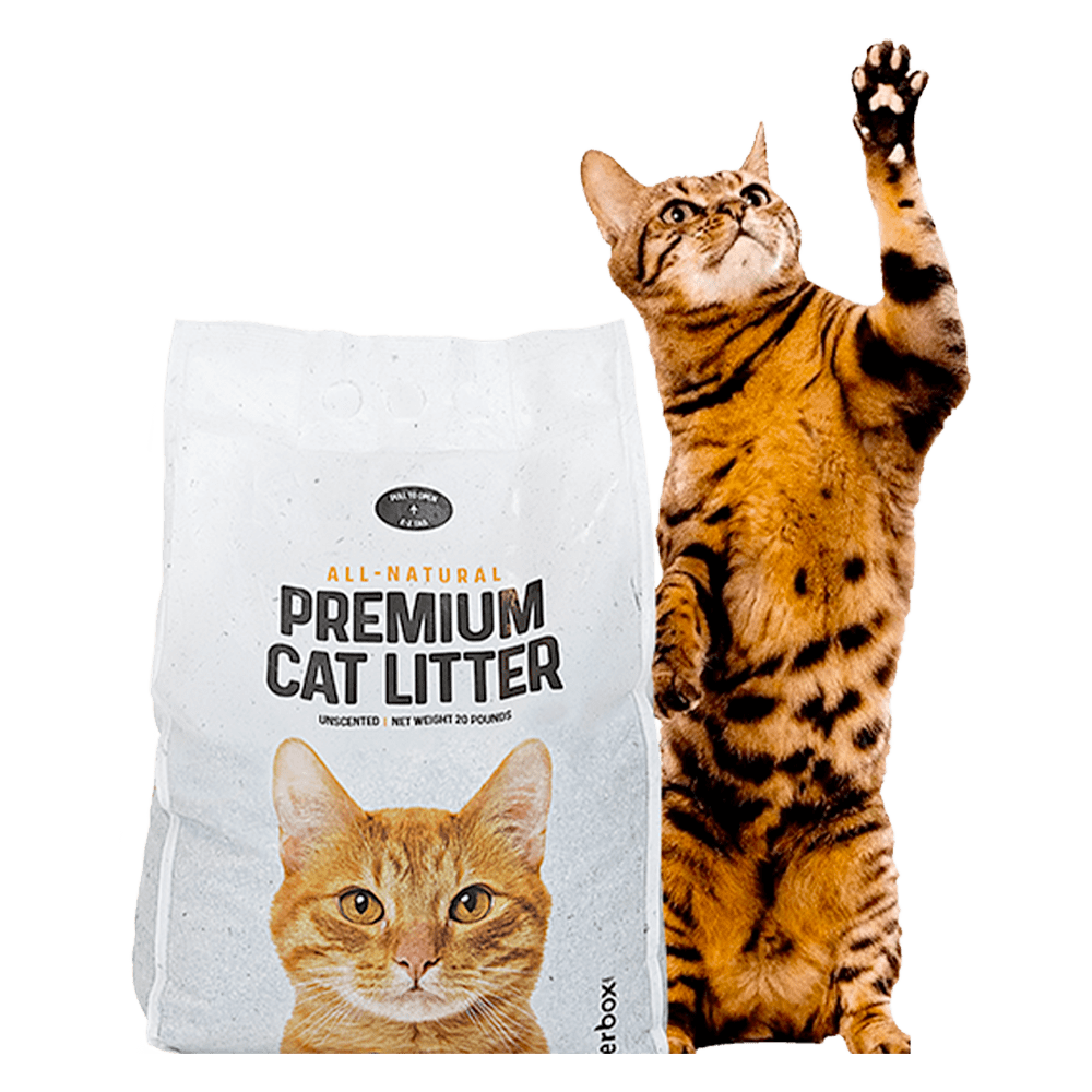 GreatLitter Low Dust Natural Clay Clumping Litter Litterbox