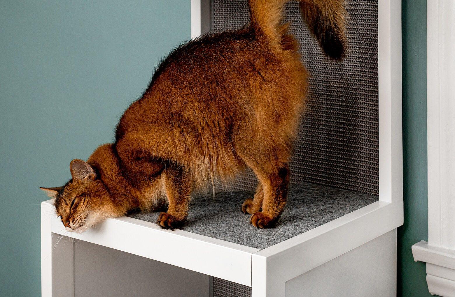 Sauder traditional cat tower top