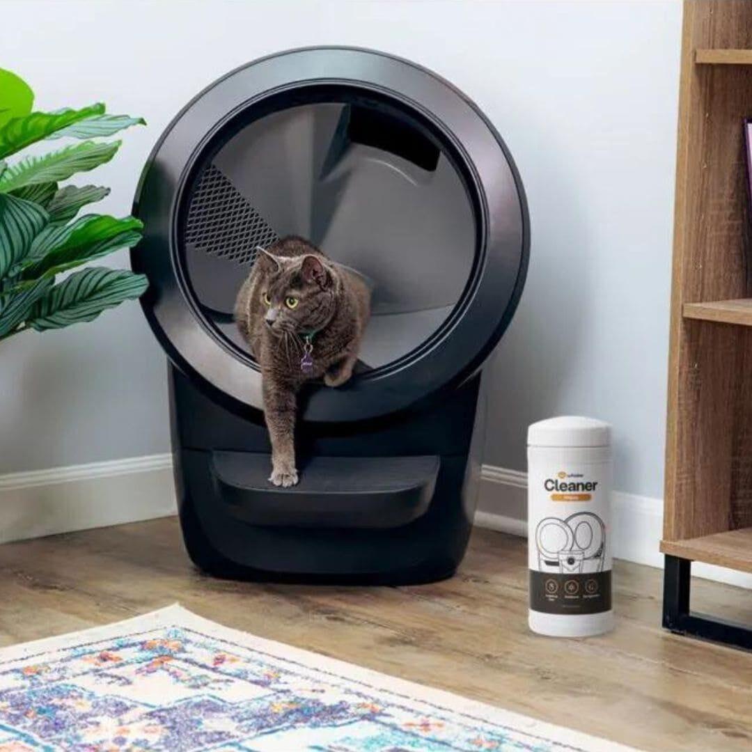 Cat litter box wipes cheap