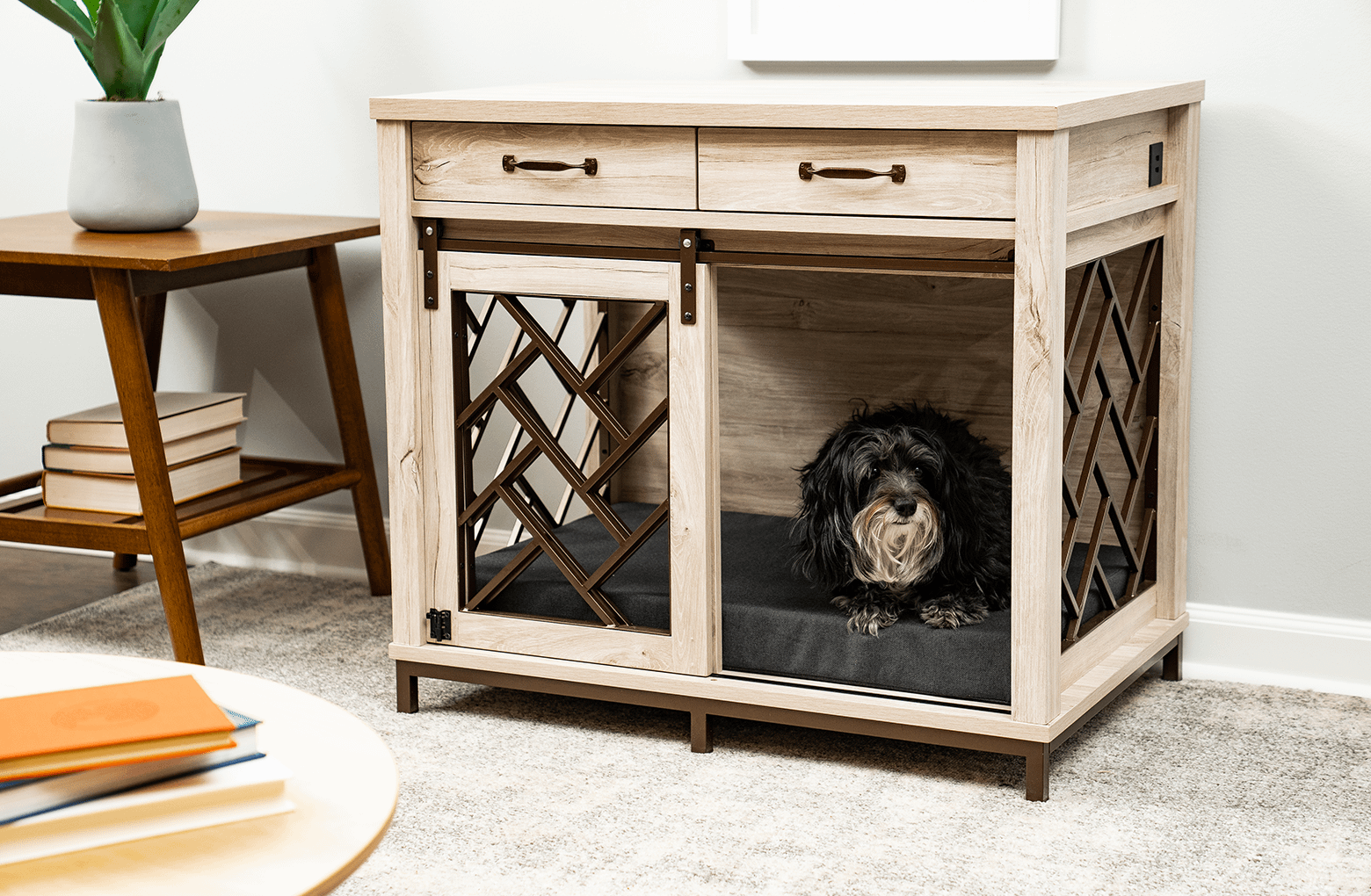 Barn door pet crate shop