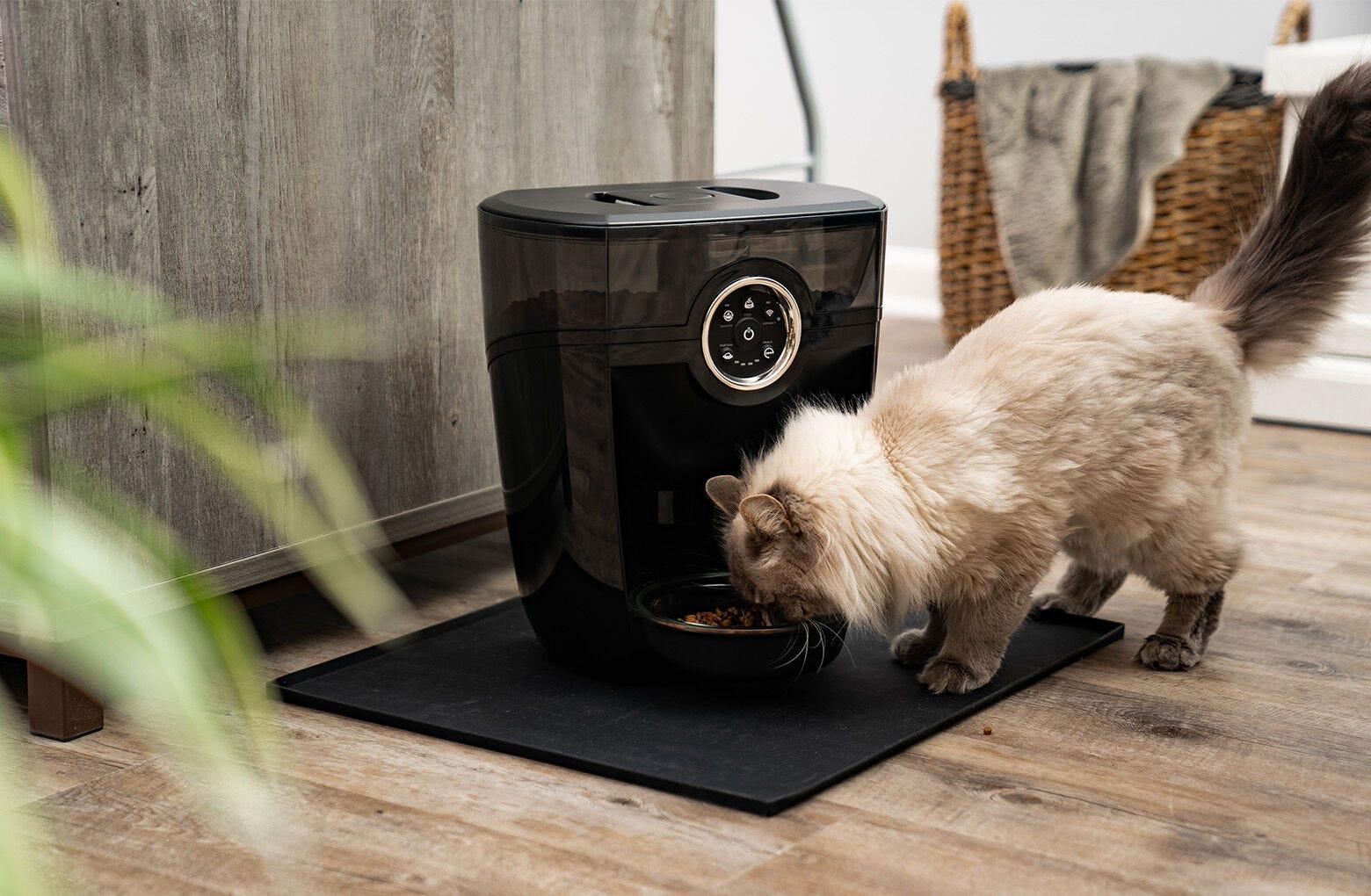 Feeder Robot Automatic Pet Feeder Cat Food Dispenser