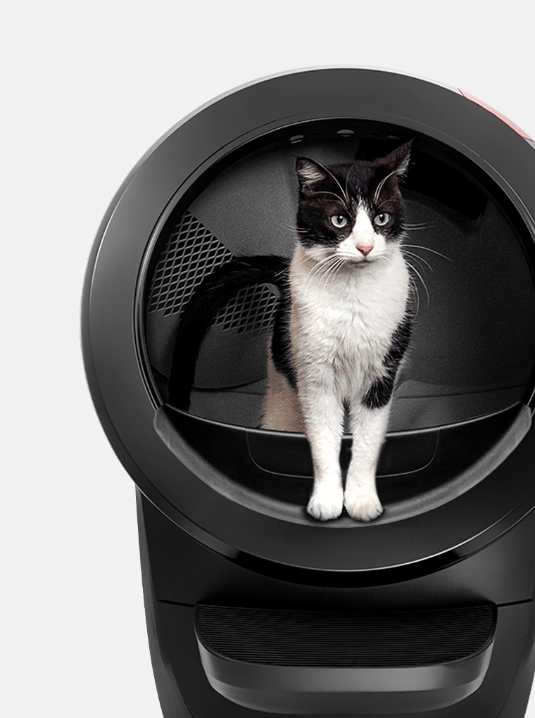 Litter Robot Self Cleaning Litter Boxes for Cats