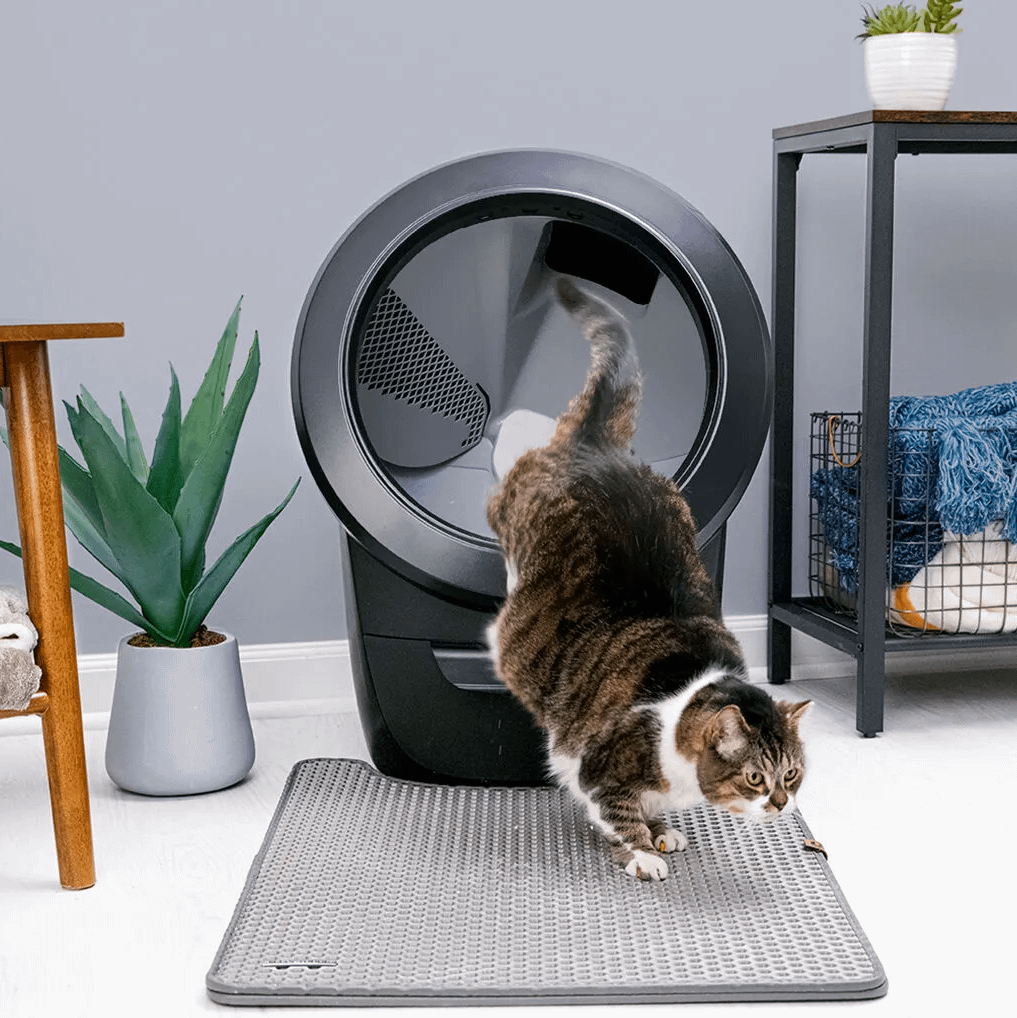 Cat little mat clearance