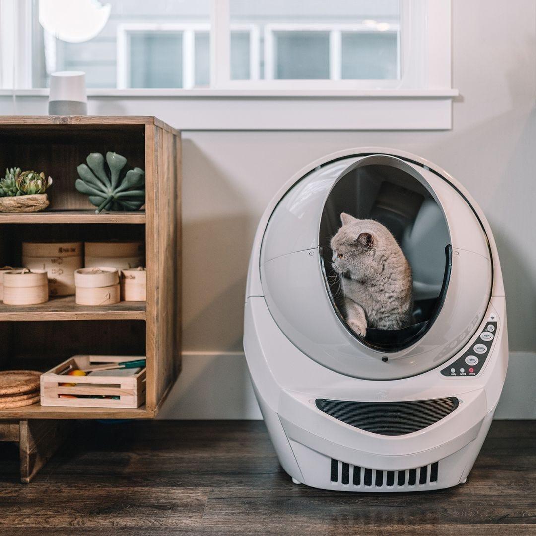 Litter robot grey best sale