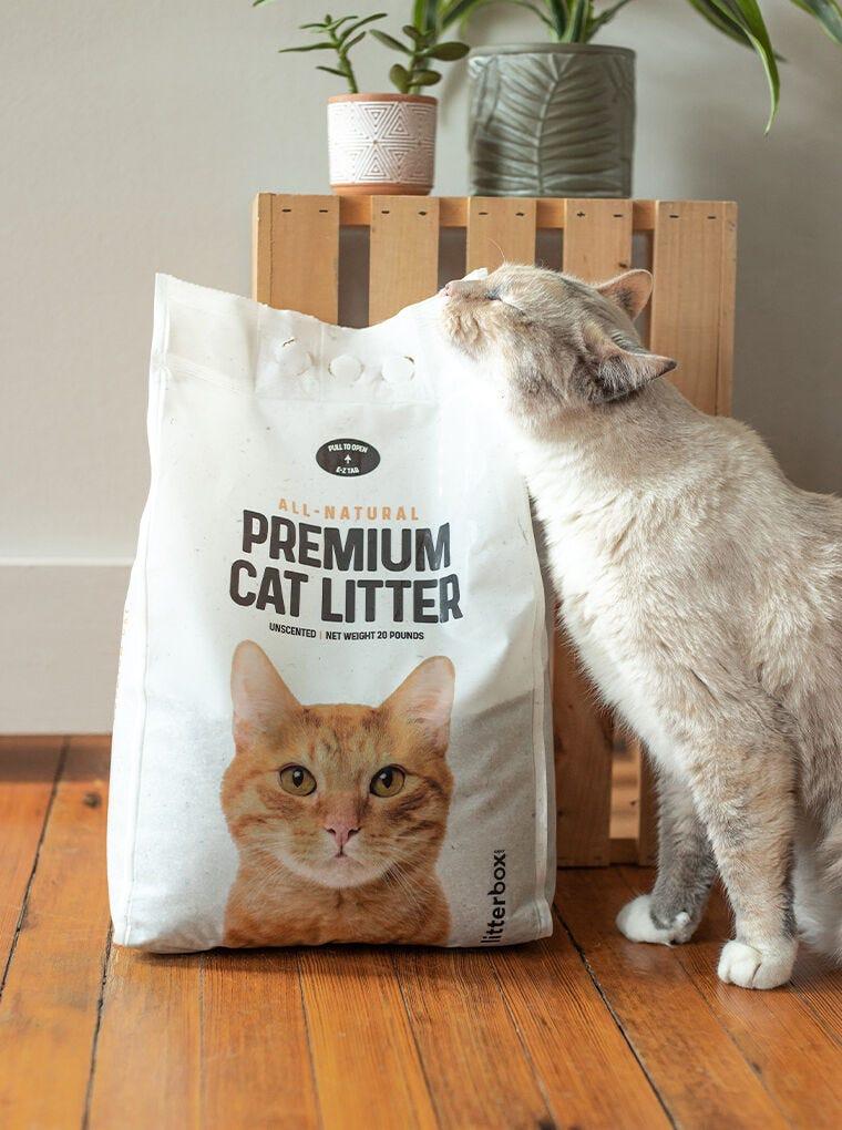 GreatLitter Low Dust Low Tracking Cat Litter