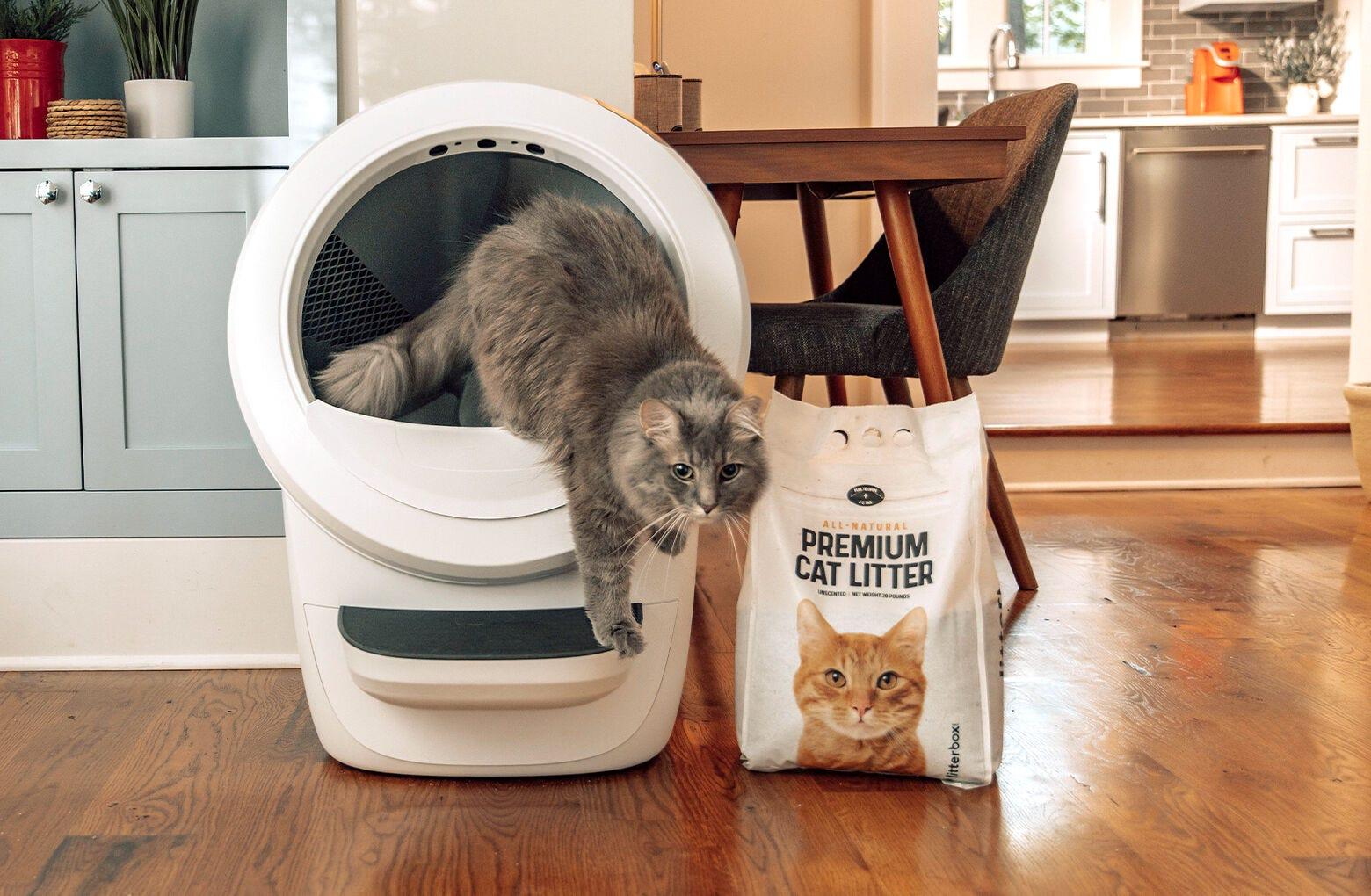 GreatLitter Low Dust Low Tracking Cat Litter