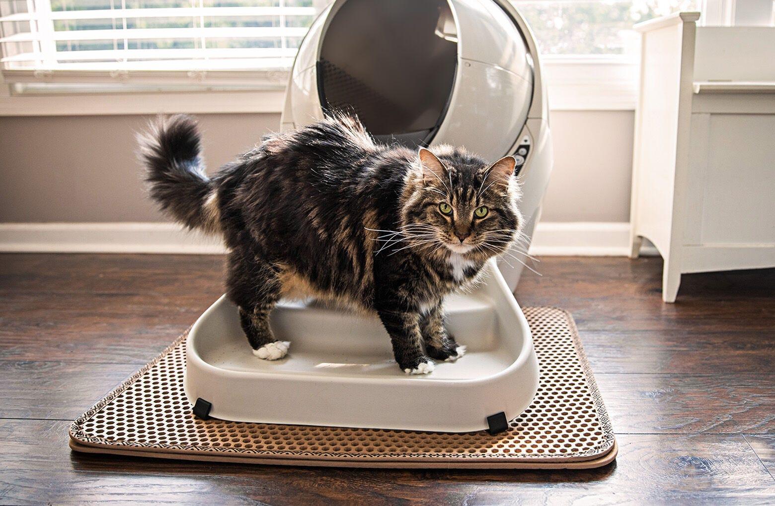 Litter Trap Mat For Cats Litter Robot Litter Robot