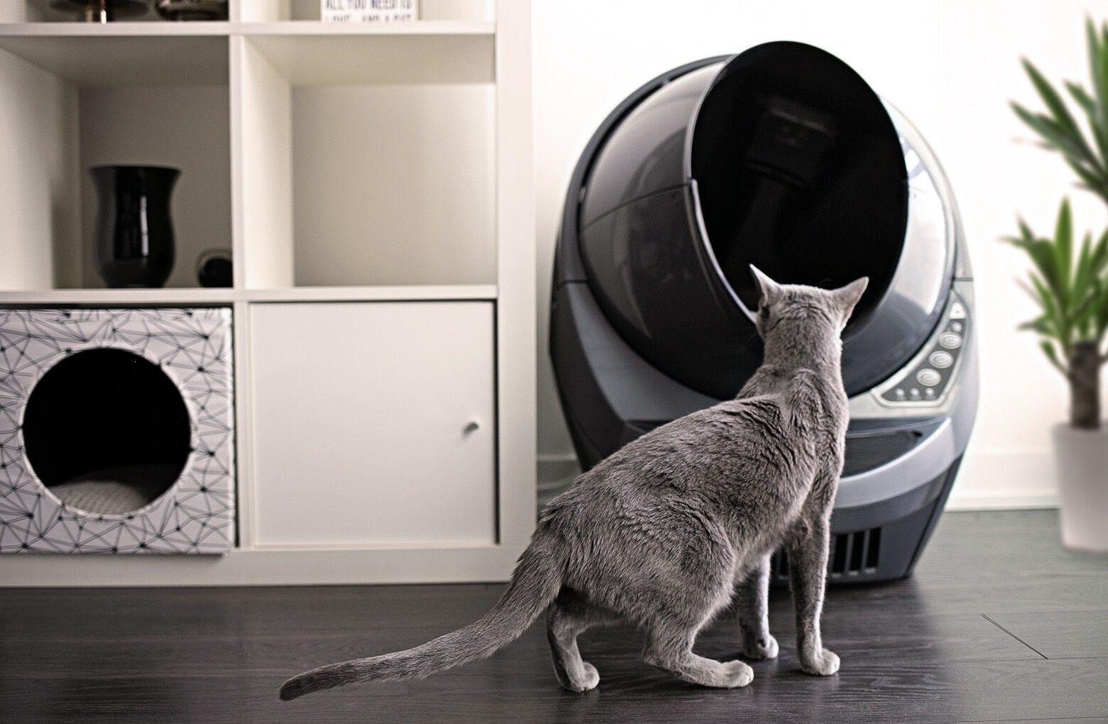 Litter Robot 3 Connect Reconditioned Self Cleaning Litter Box