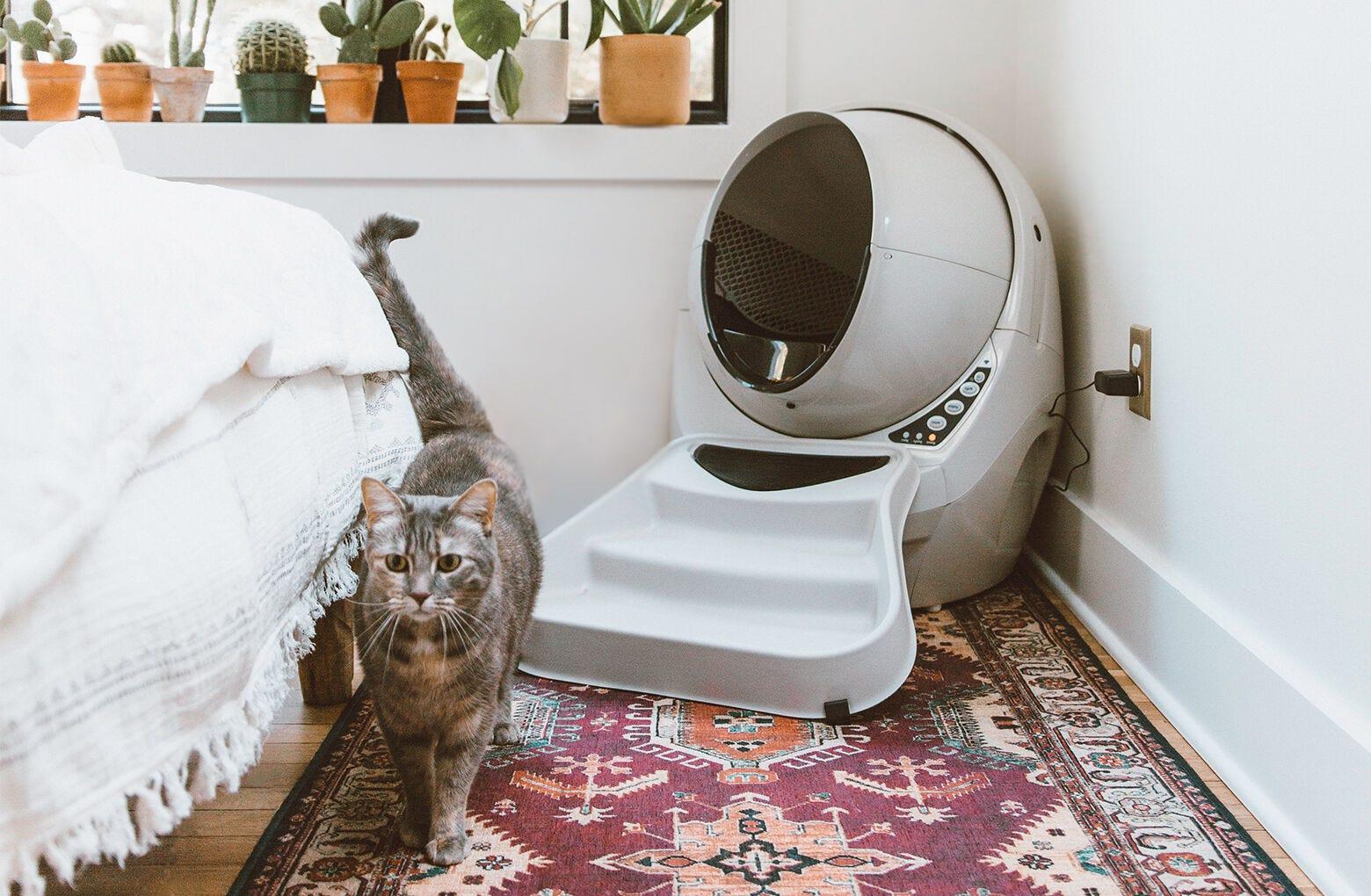 Litter Robot 3 Connect Essentials Bundle Best Seller