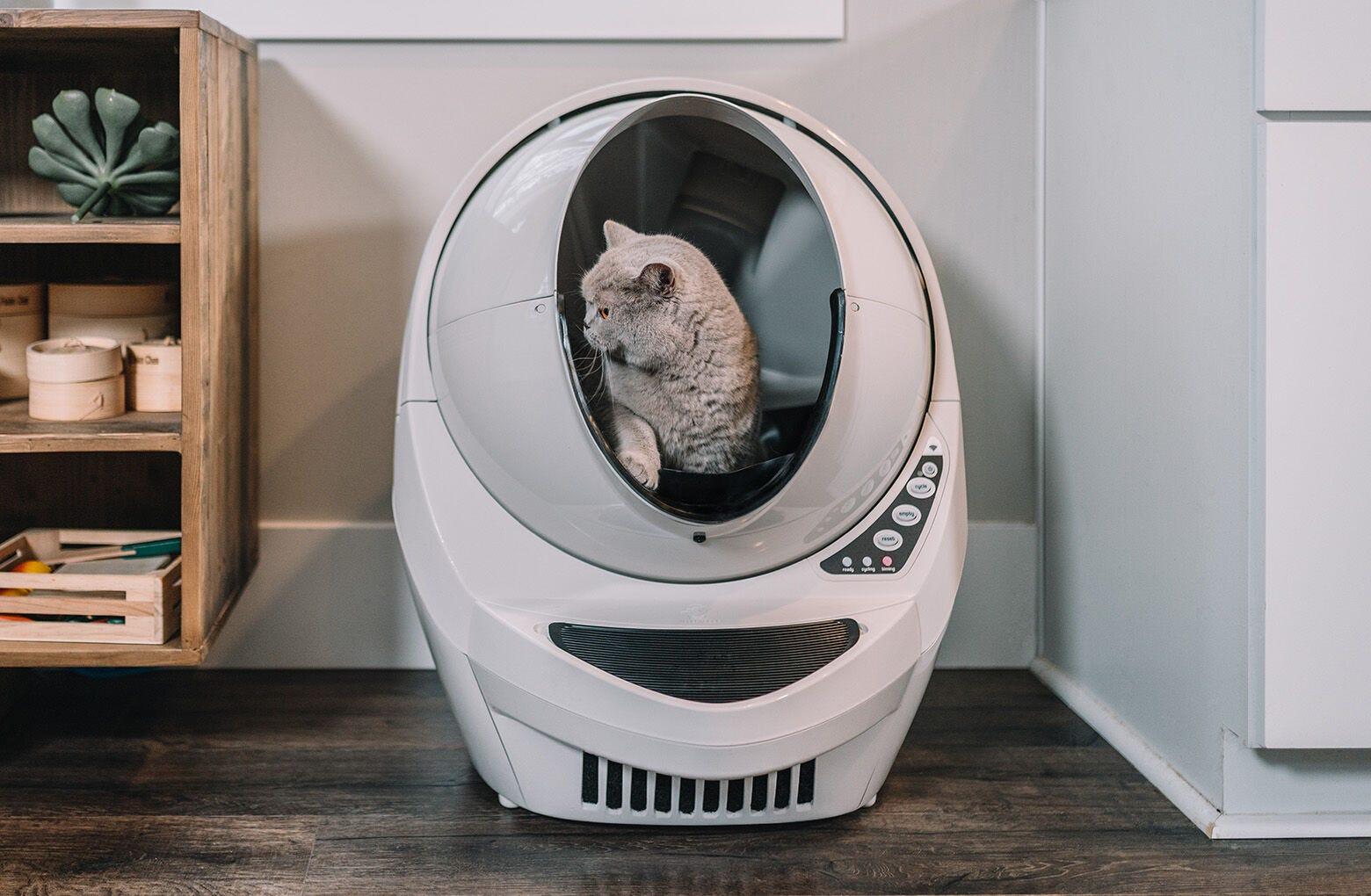 Litter robot login cheap