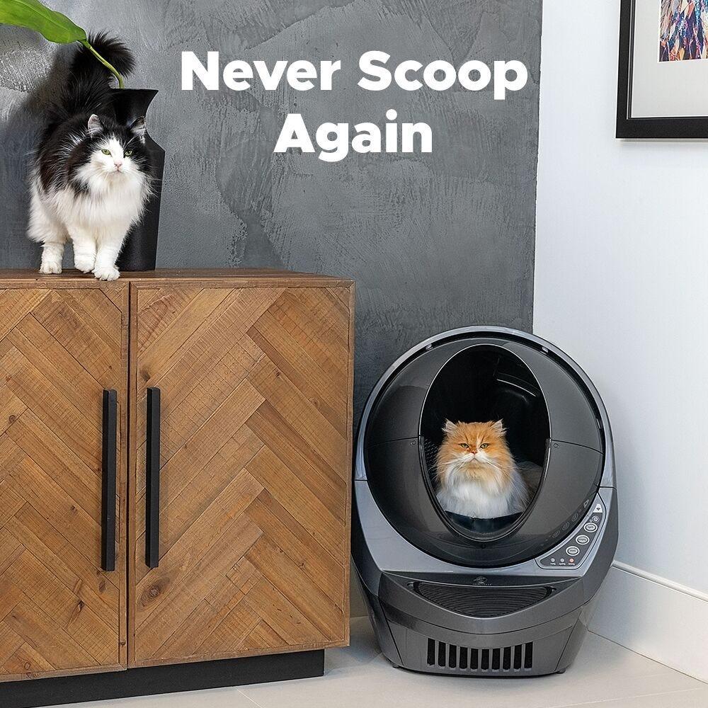 Cat litter tray robot best sale