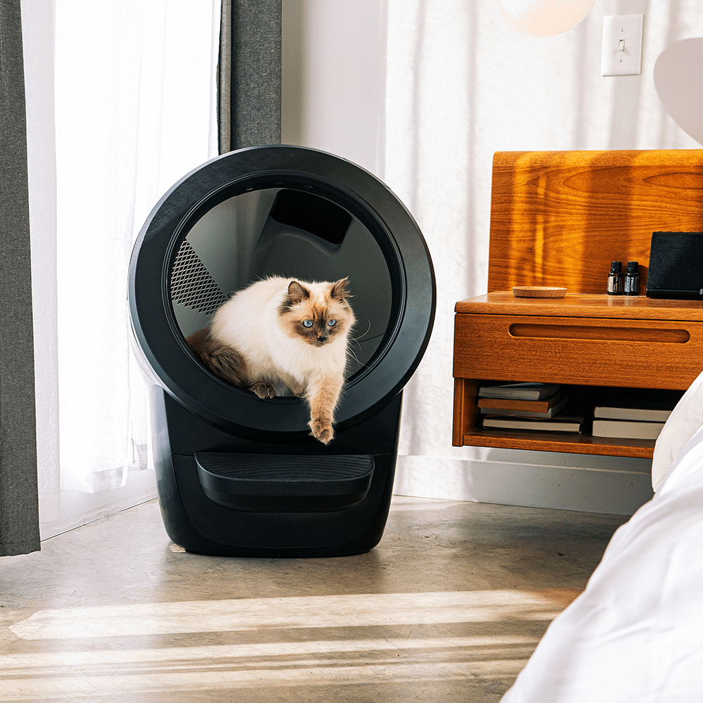 Litter Robot 4 Highest Rated Smart Automatic Litter Box Litterbox