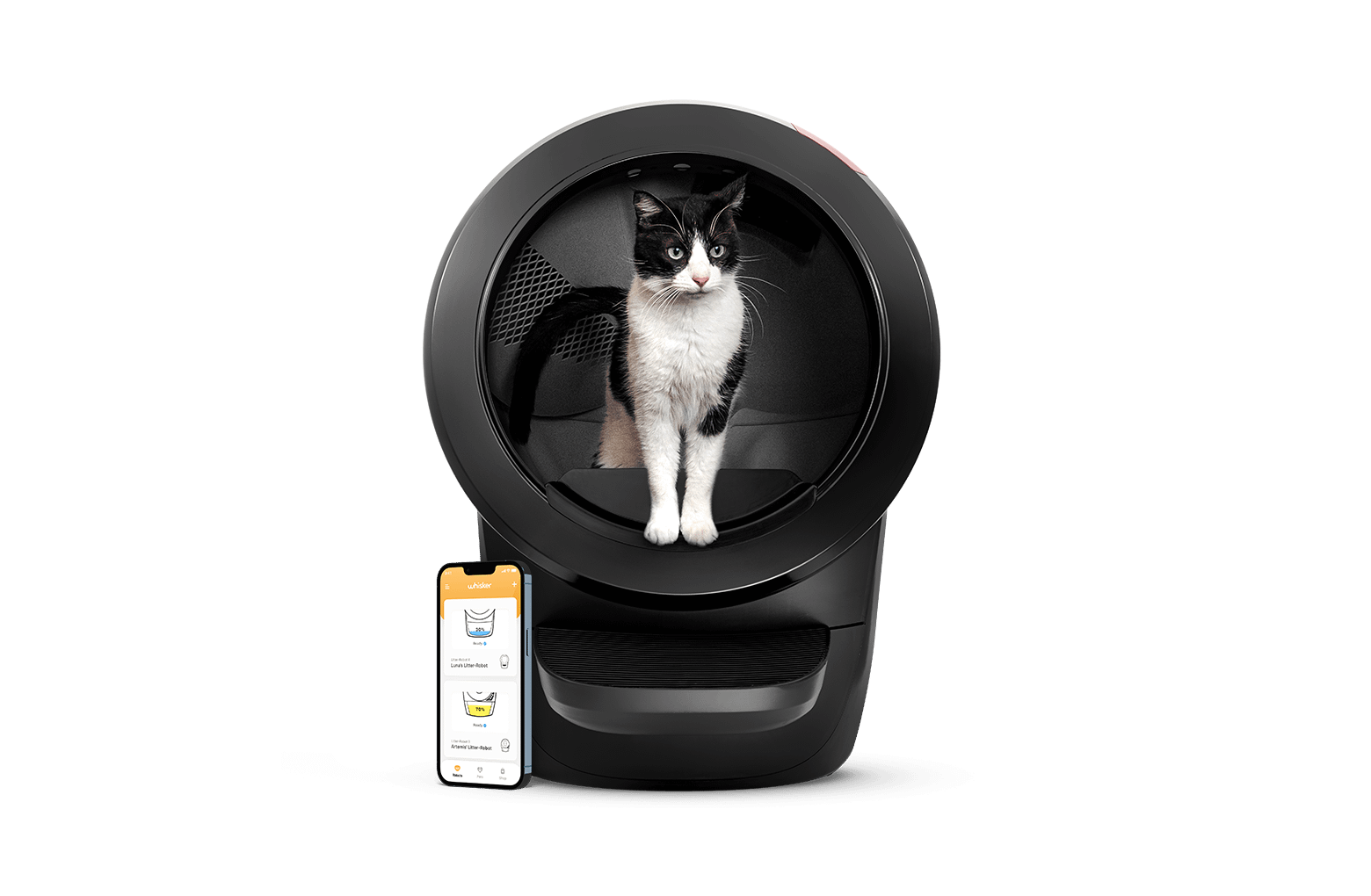 Jackson galaxy litter robot top