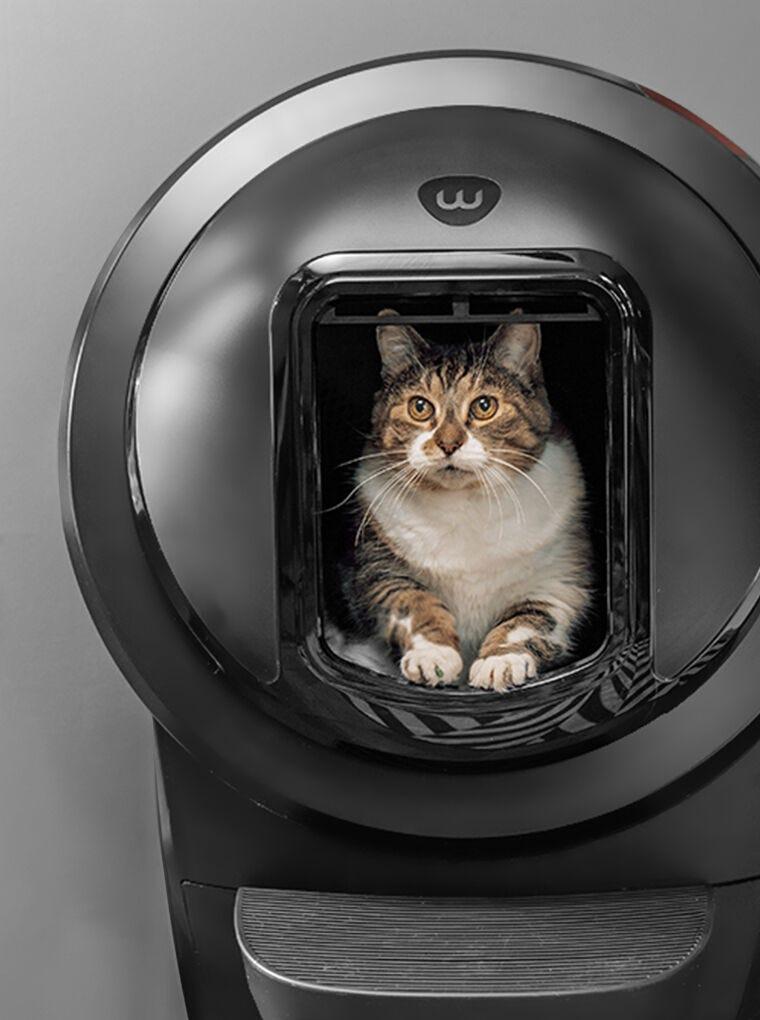 Litter robot cover top