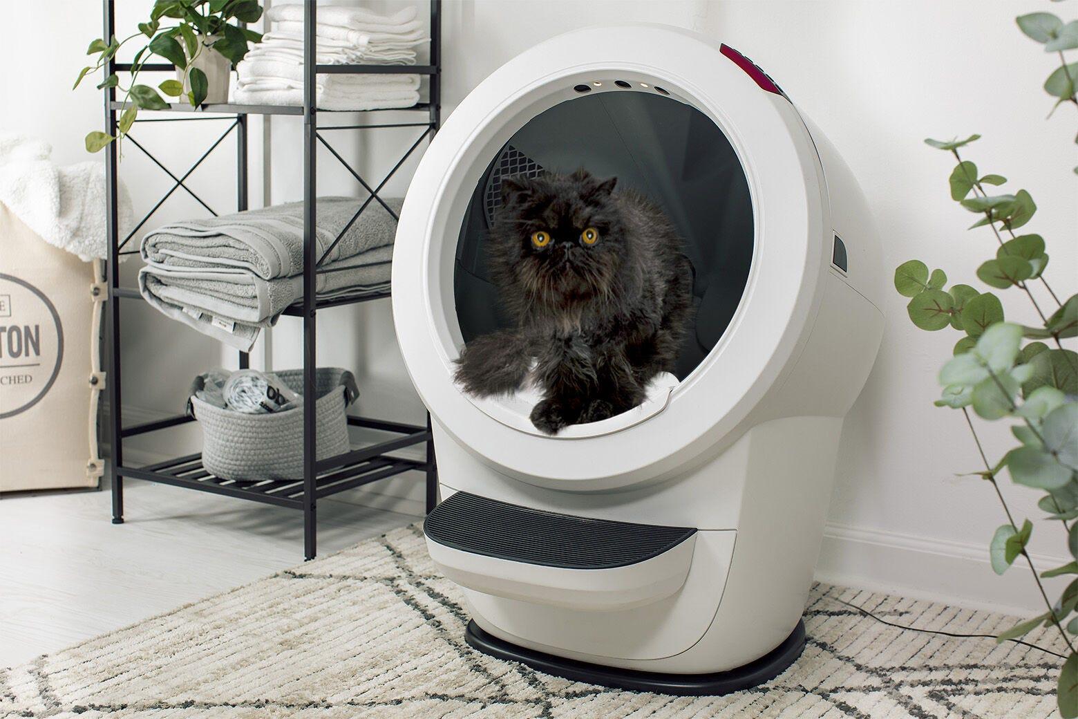Litter Robot 4 Carpet Tray Use Litter Robot 4 on Carpet