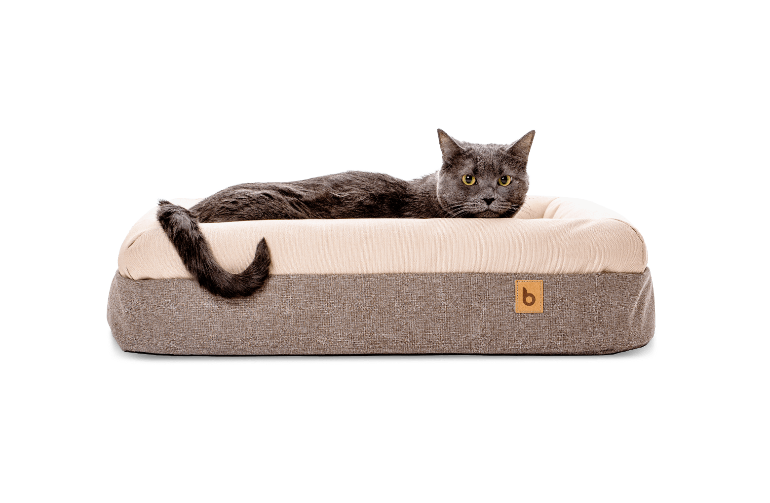 Memory foam cat bed outlet