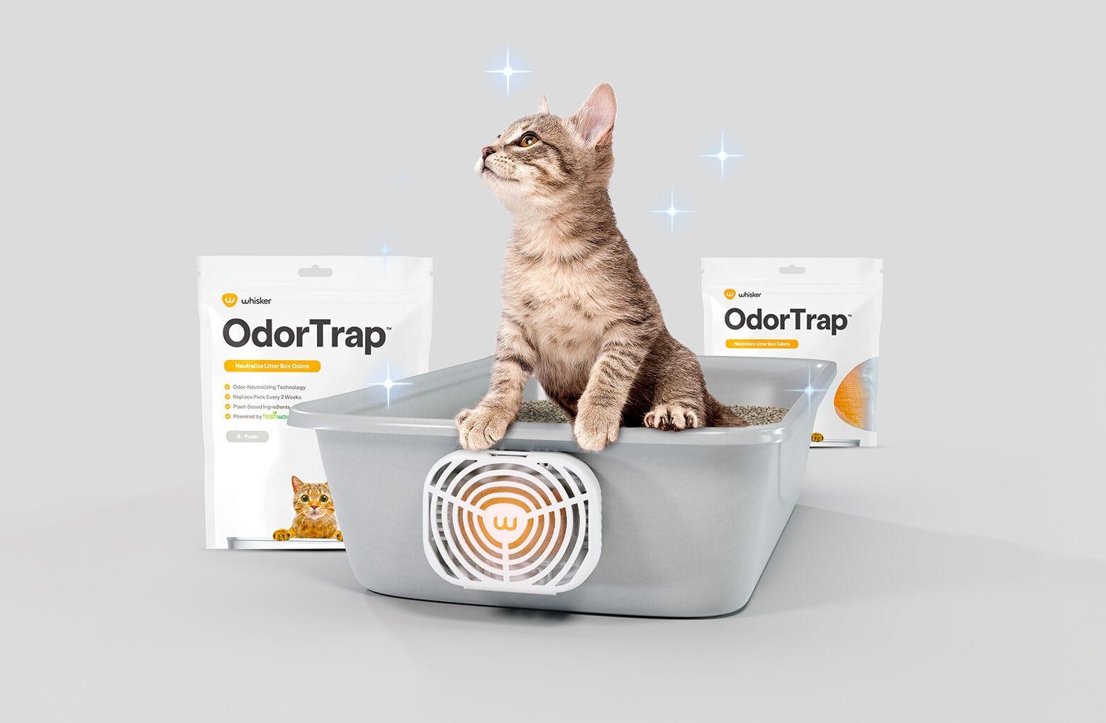 Cat pod litter box cheap