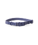 Cat Collar - Blue