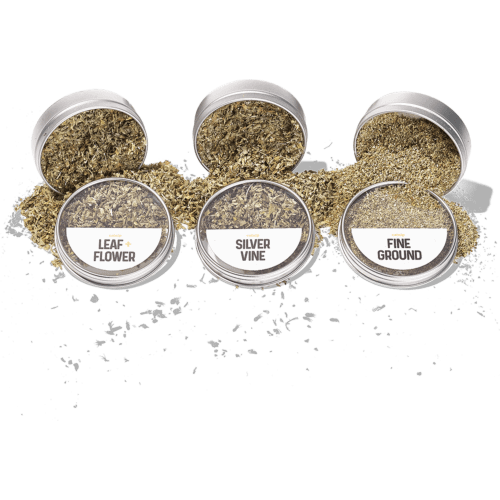 Catnip Flight | Spilling