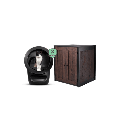 cat using Litter-Robot 4