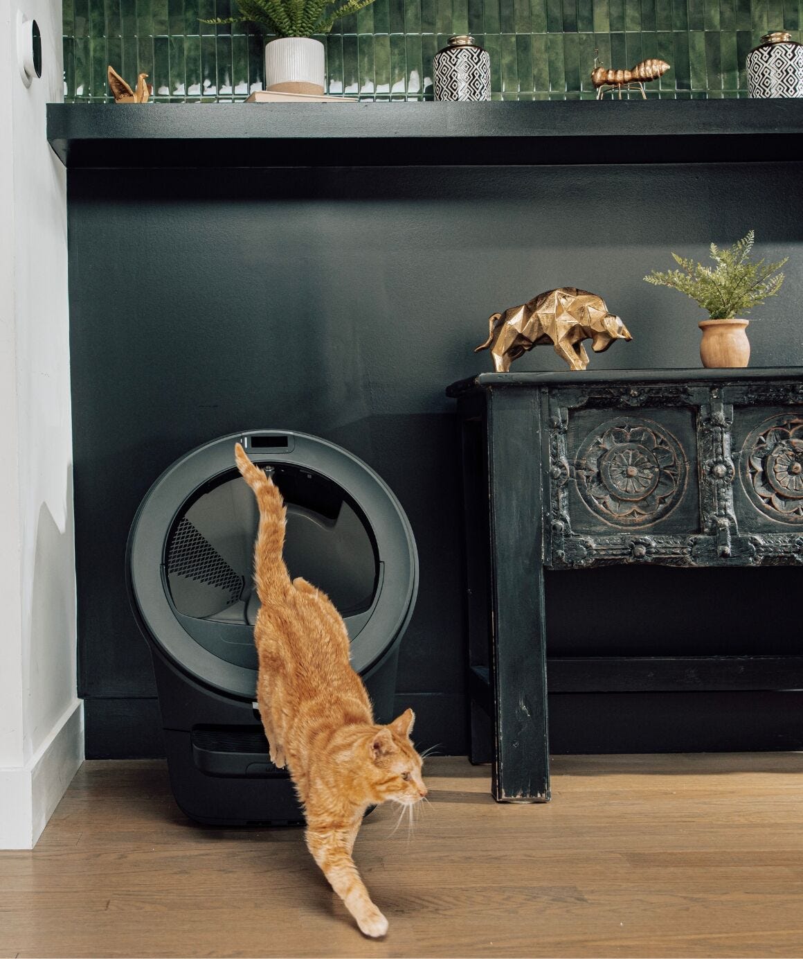 Black Litter-Robot 5 Pro automatic litter box in a modern home