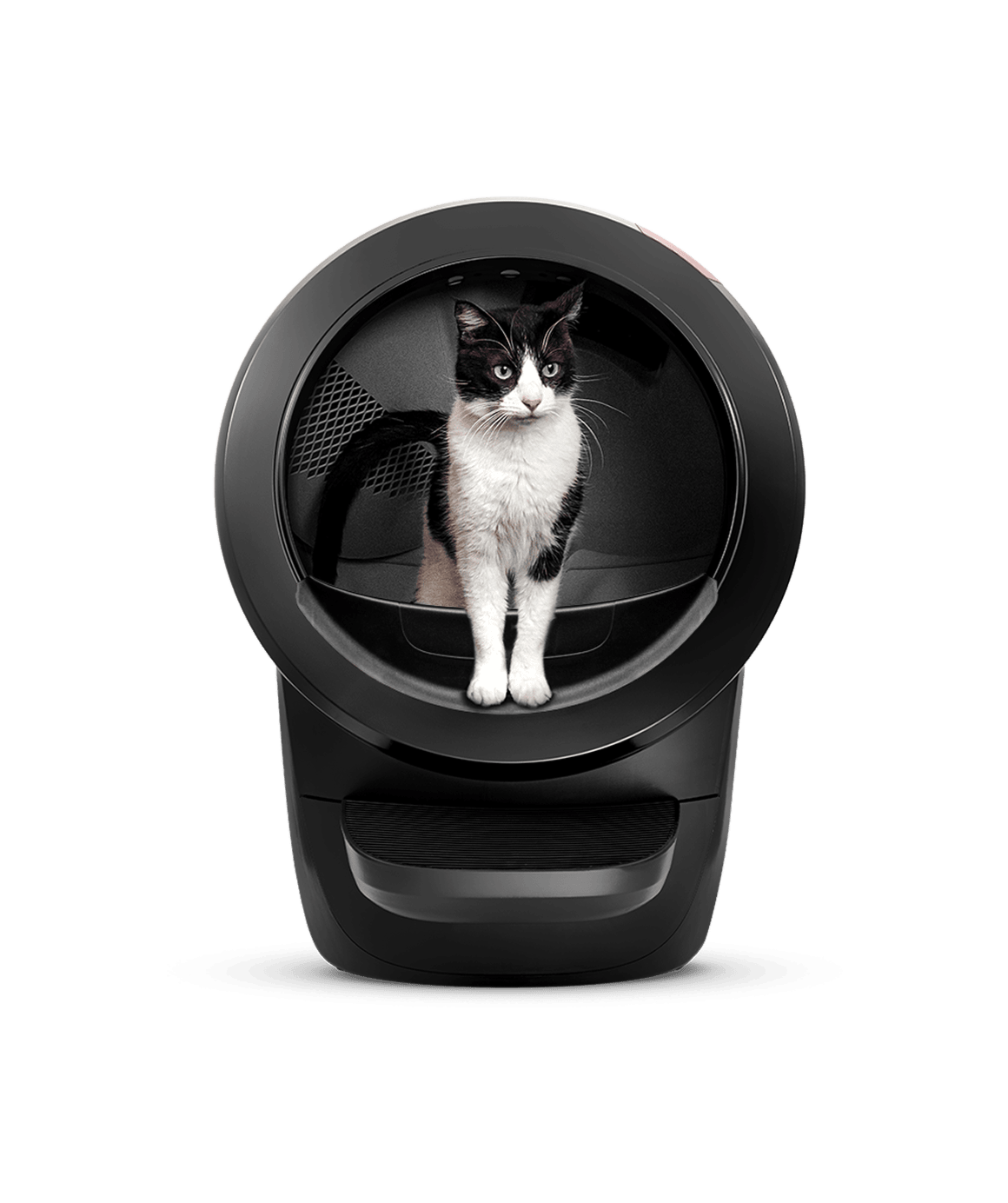 w.com - cat using Litter-Robot 4