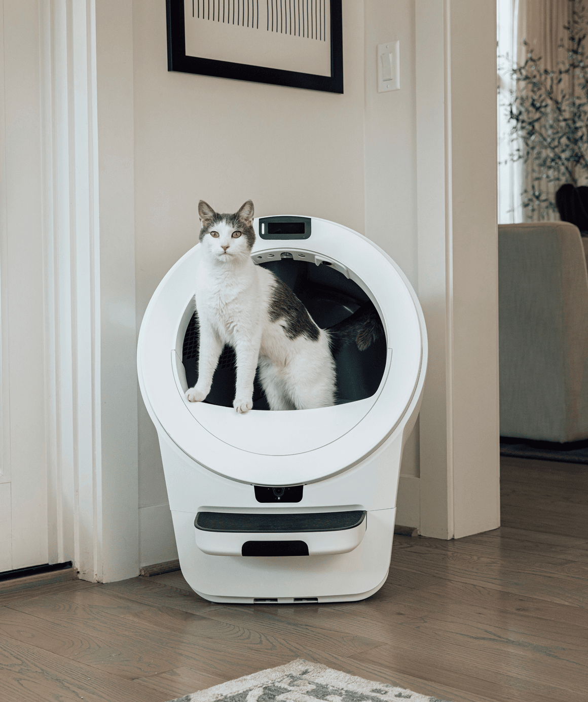 Whisker.com cat using Litter-Robot 5 Pro