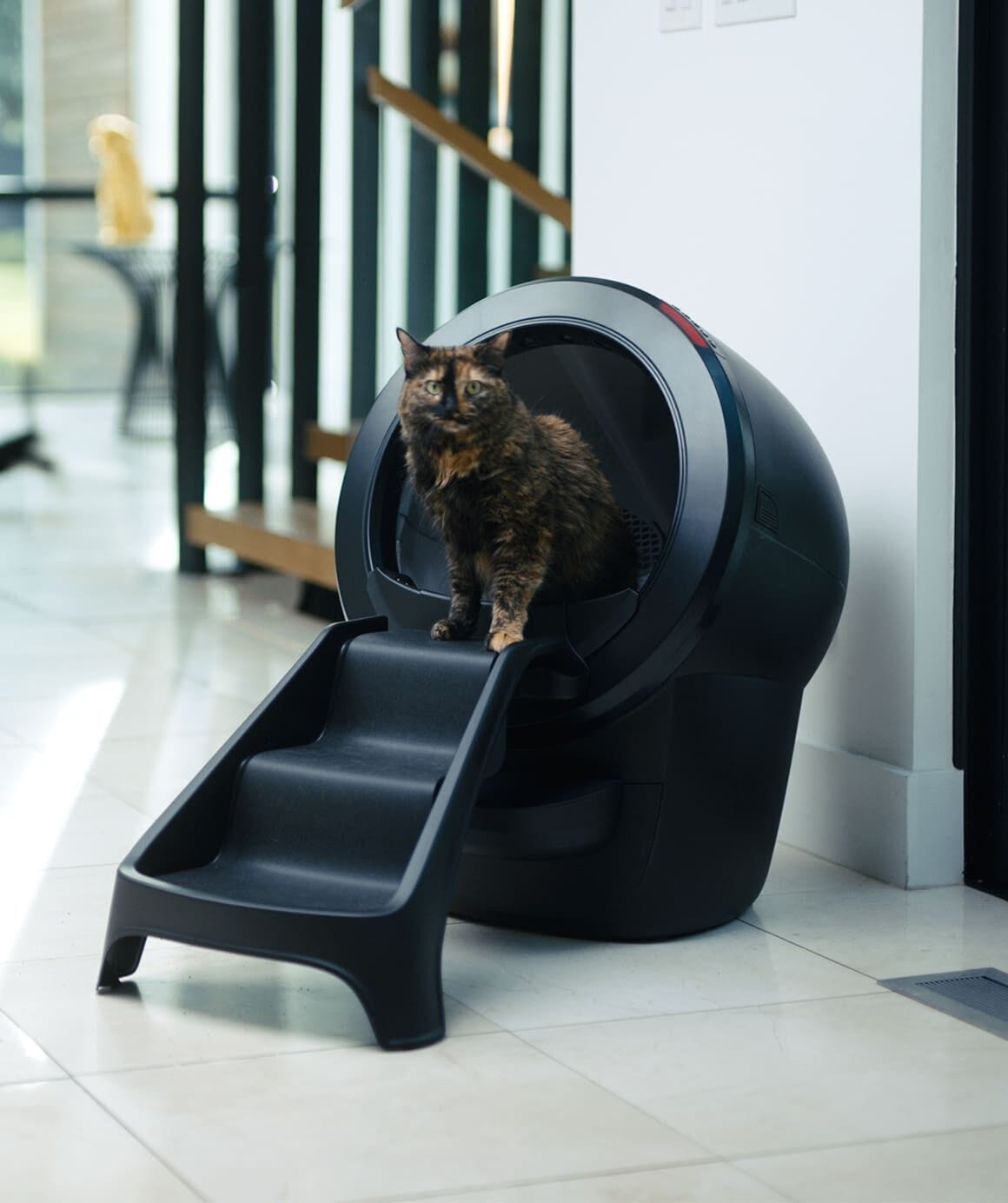 Litter-Robot 4 Ramp | Easy Access Pet Stairs