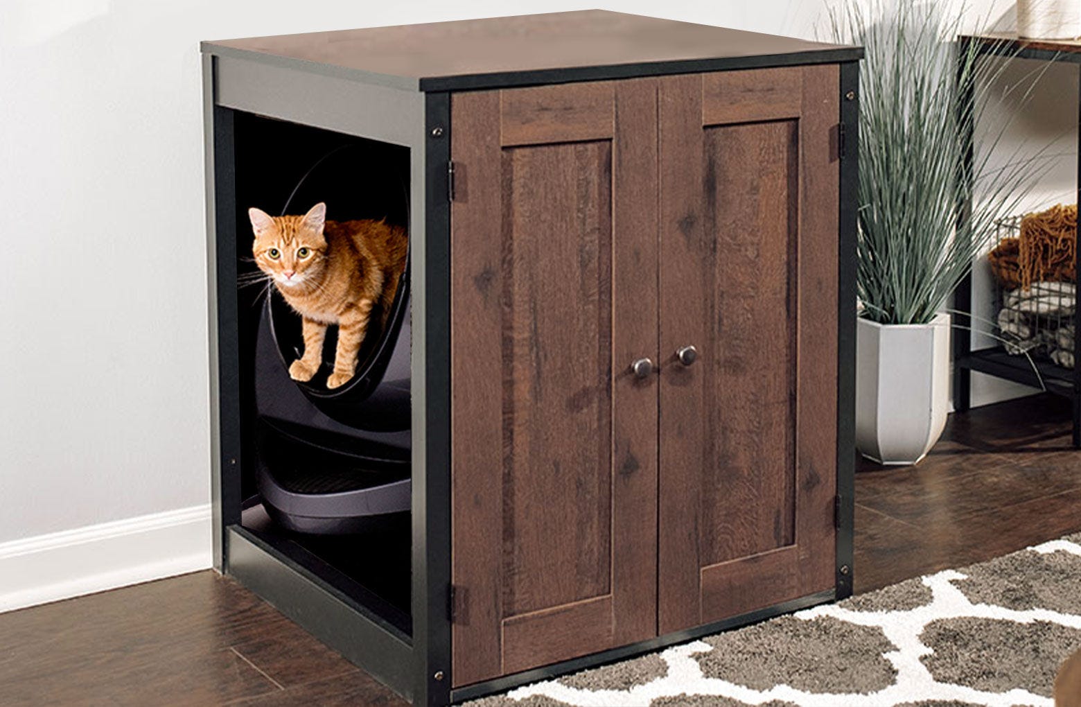 Litter-Robot Connect Cabinet Hutch Bundle