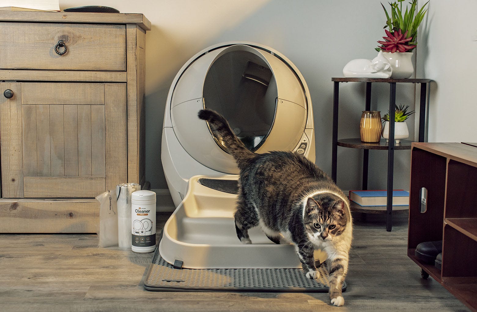 Litter-Robot Connect Clean Bundle Bundle Save