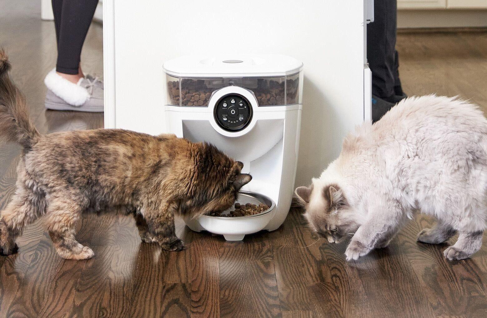 Reconditioned Feeder-Robot | Timed Automatic Cat Feeder