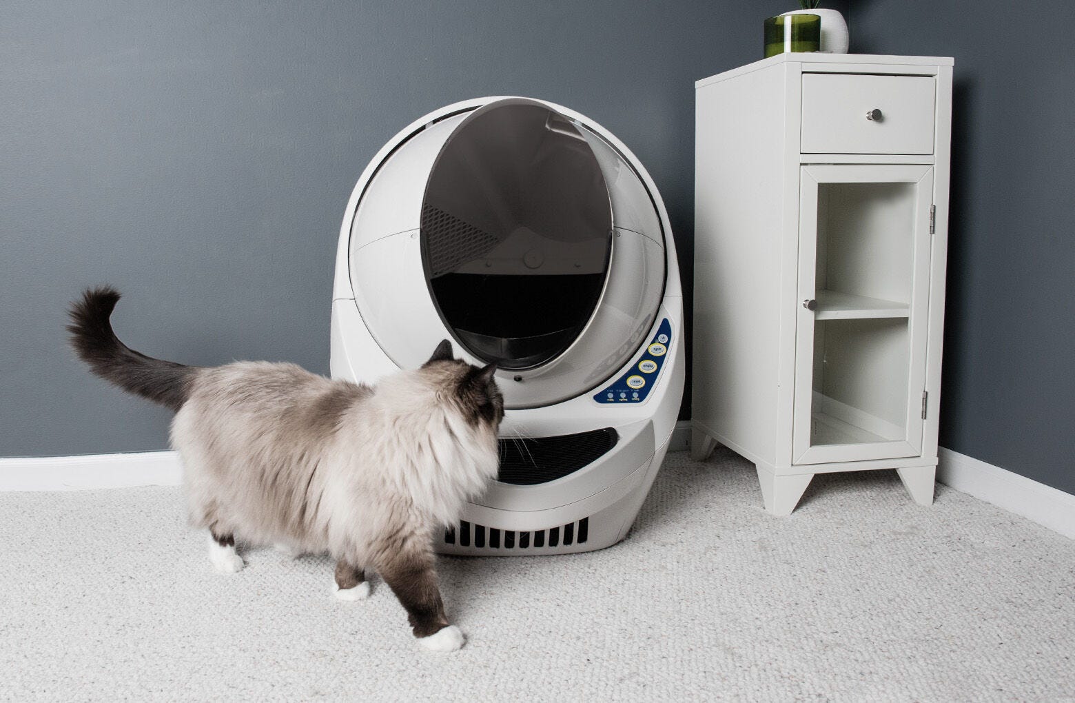 Litter-Robot Reconditioned Self-Cleaning Litter Box