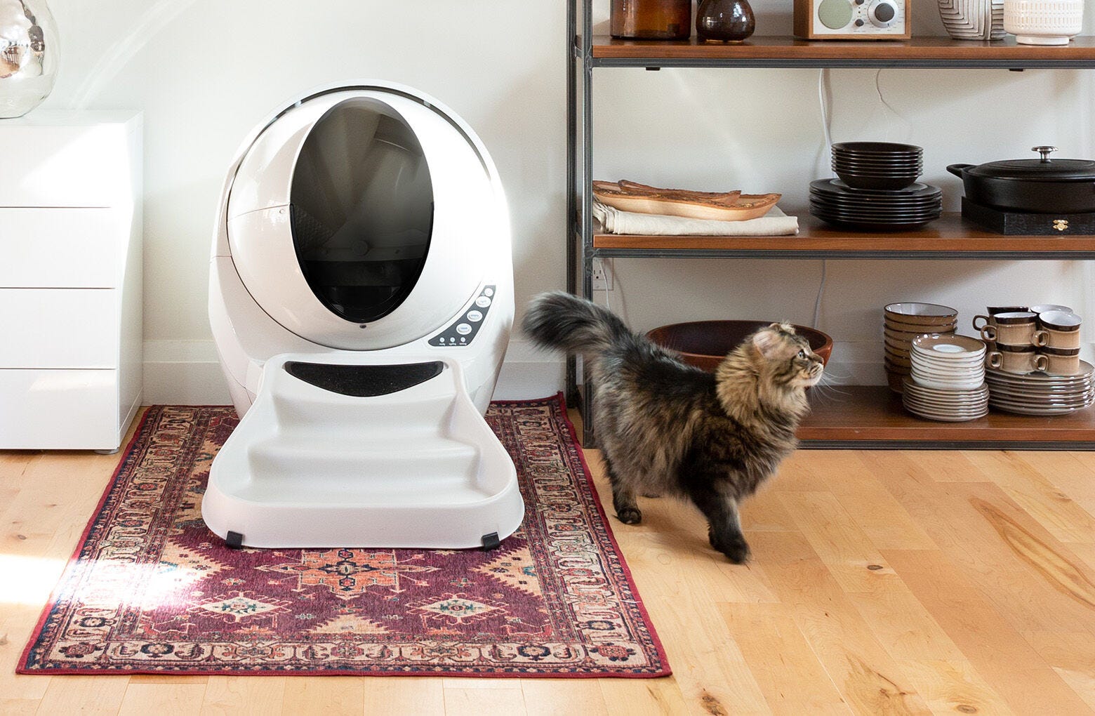 Litter-Robot Accessory Kit Cat Litter Box Accessories