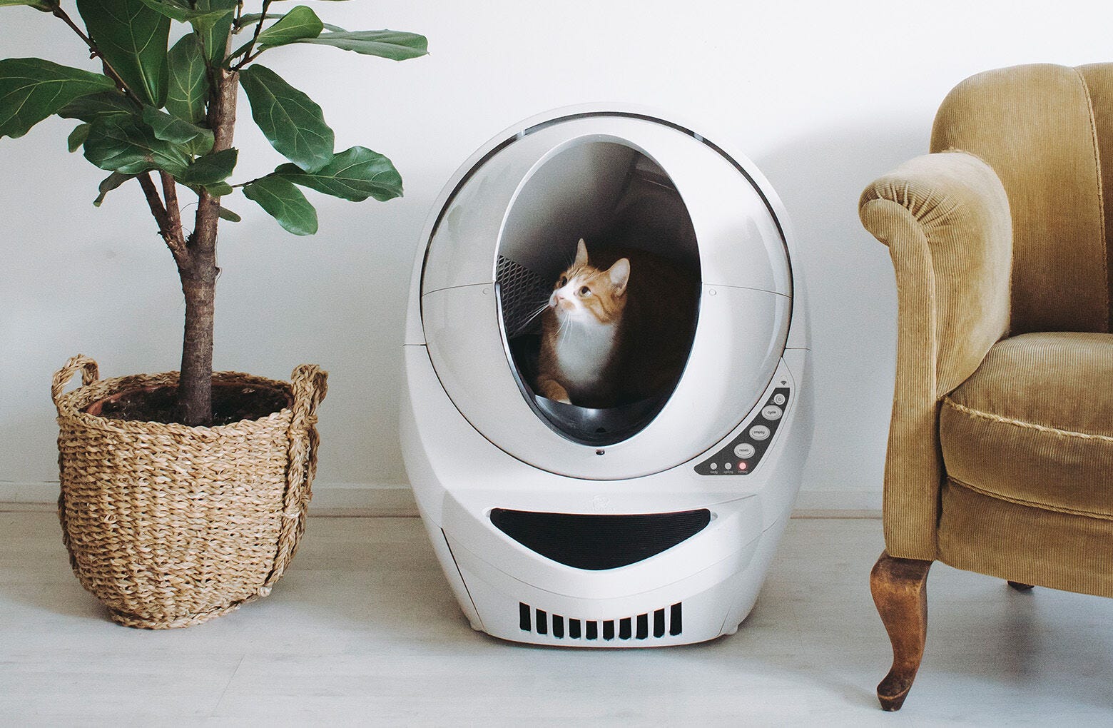 Litter-Robot Connect Reconditioned Self-Cleaning Litter Box