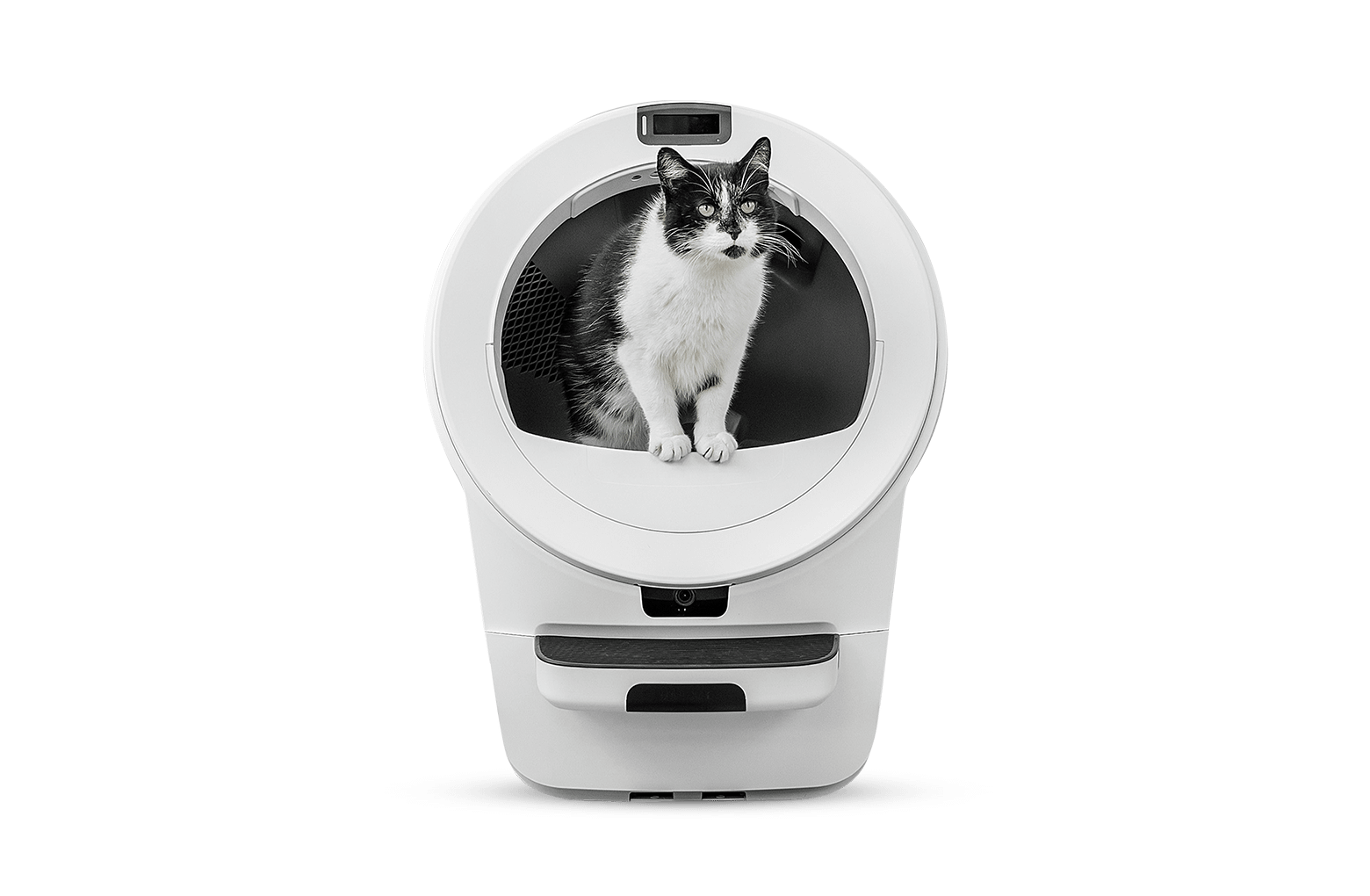 Best Self-Cleaning Litter Boxes Warranty Protected