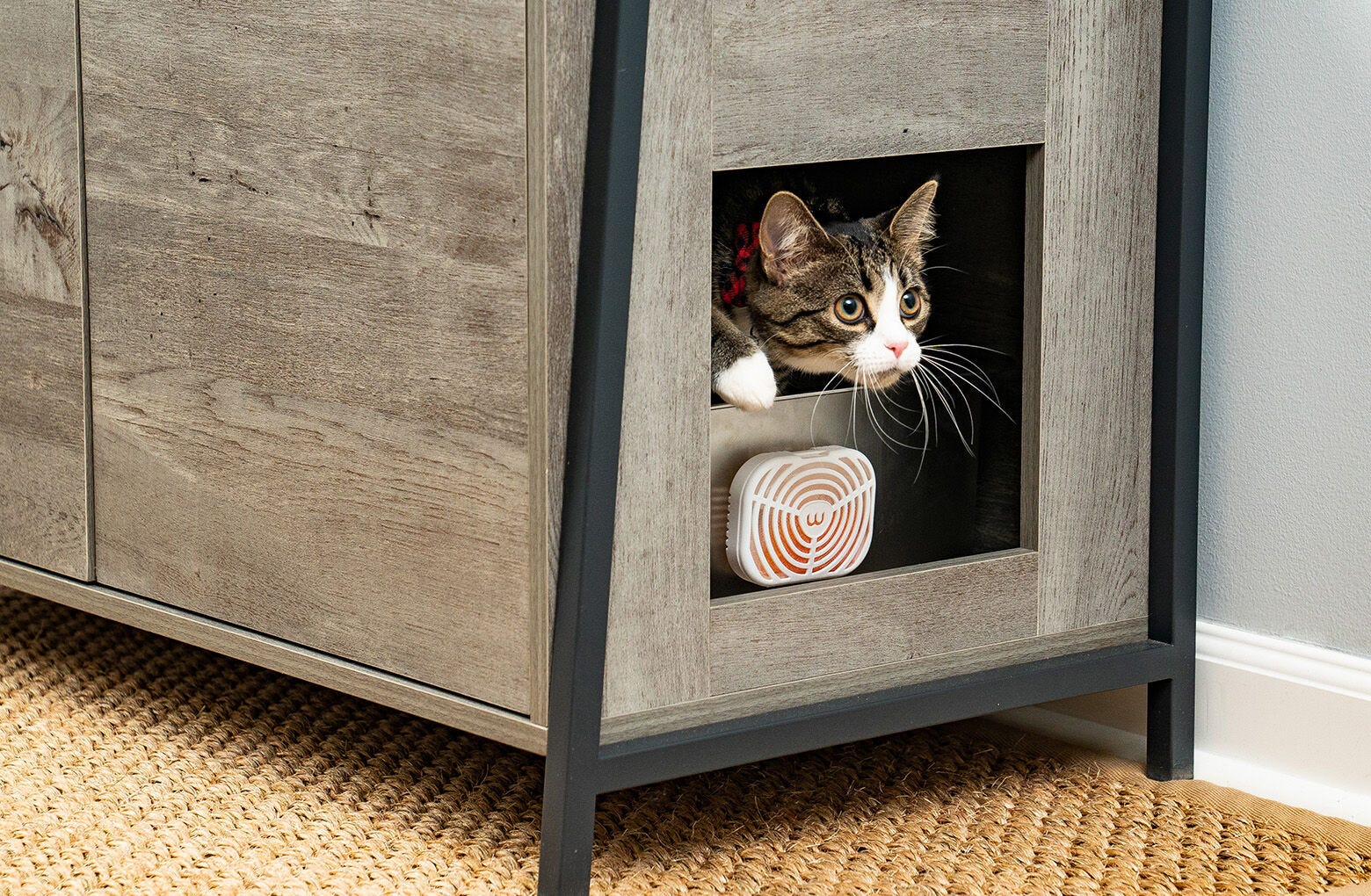 Odor Removal Best Cat Litter For Automatic Litter Box Cat Litter