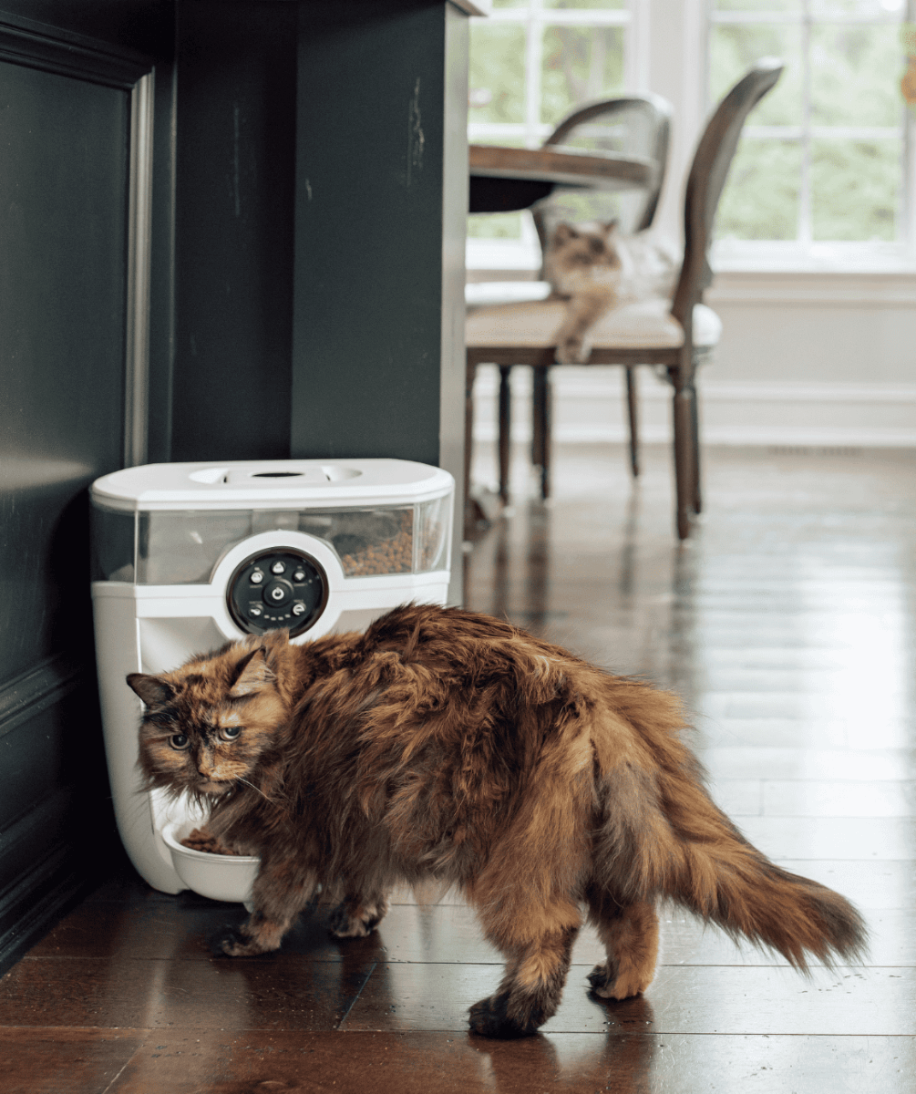 Feeder-Robot Backup Battery | Litter-Robot