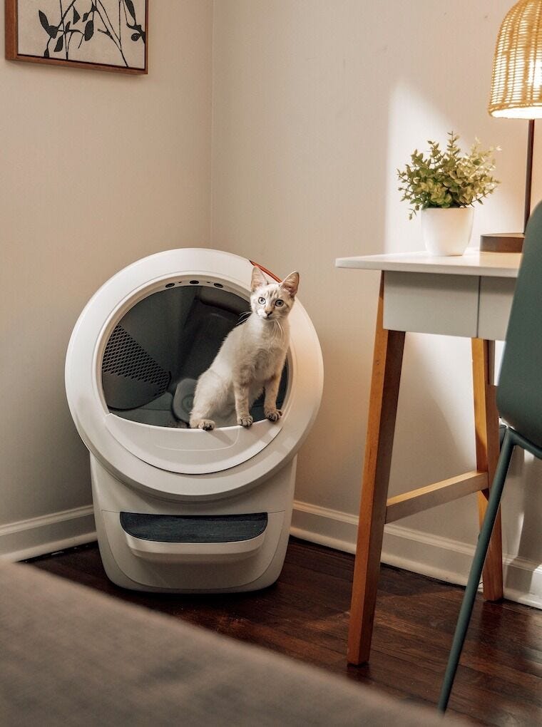 Litter-Robot Automatic Litter Box Adopted by Users - Main Image