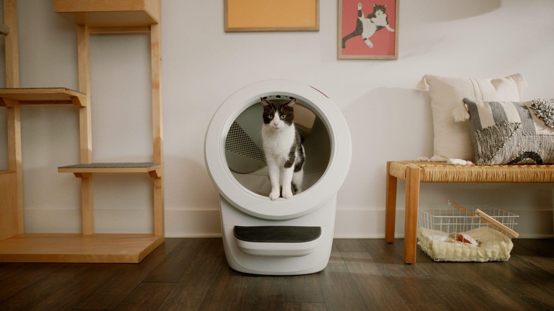 Litter-Robot 4 self-cleaning litter box with a cat