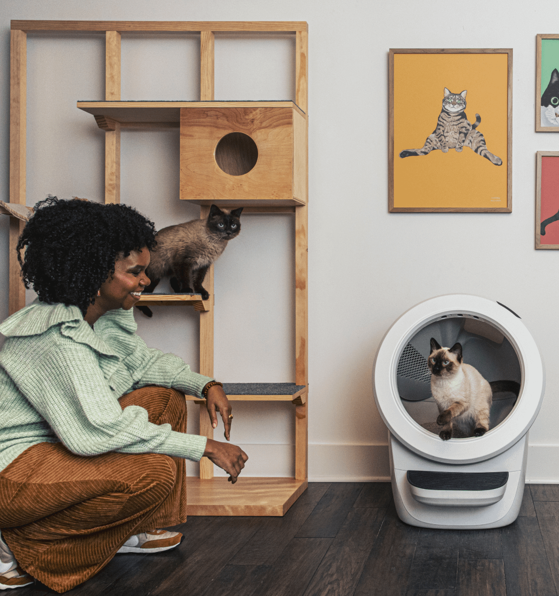 Litter Robot 4 Automatic Self Cleaning Cat Litter Box White