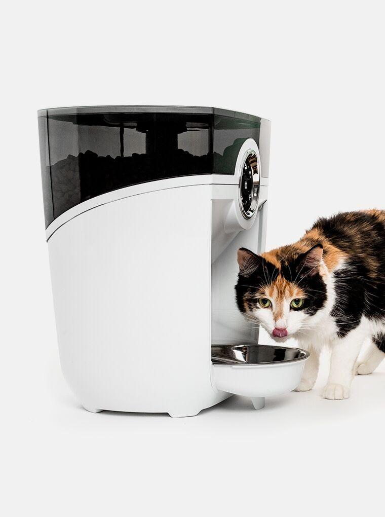 Feeder Robot Automatic Pet Feeder Cat Food Dispenser