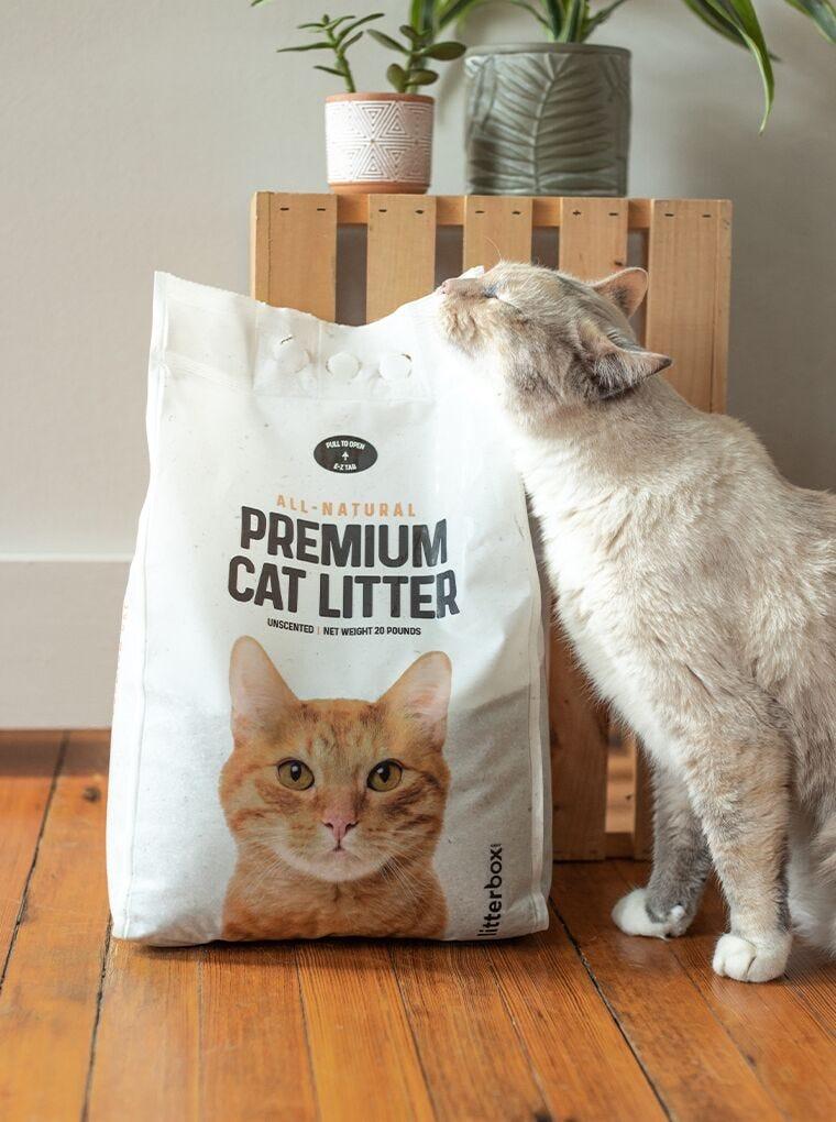 GreatLitter Low Dust Low Tracking Cat Litter