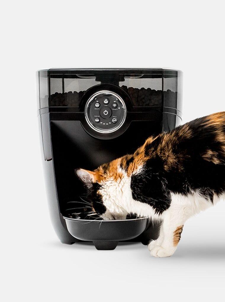 Litter robot offline shop