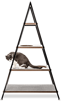 Cat Pyramid