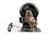 CA EN Litter-Robot 4 Full Setup Bundle