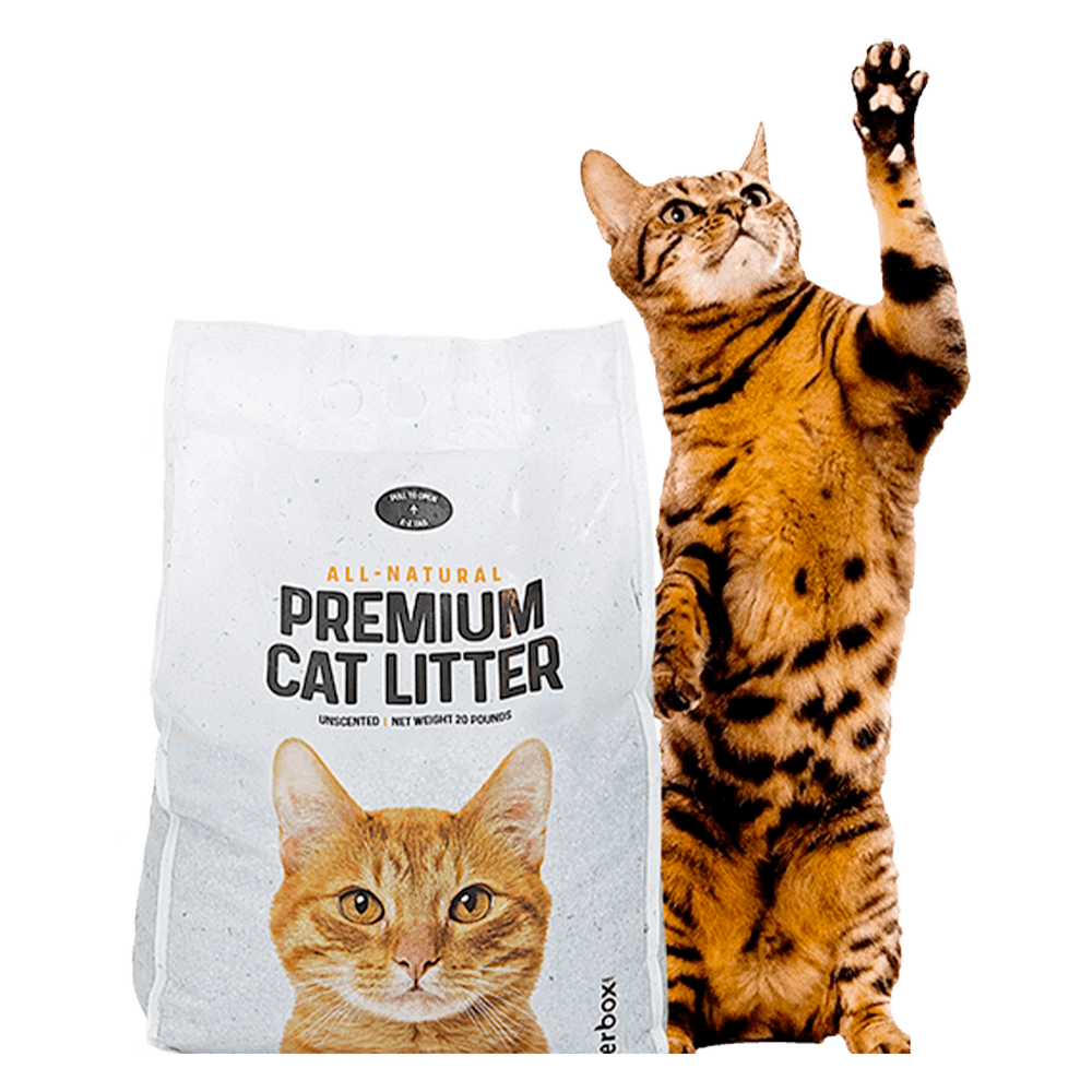 Clumping litter bad for cats hot sale