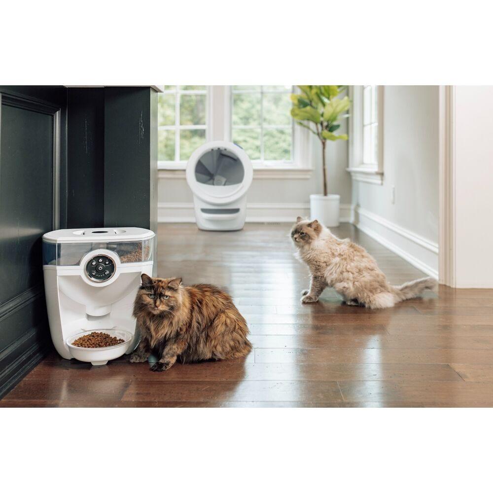 Feeder Robot Automatic Cat Feeder and Cat Food Dispenser Litterbox