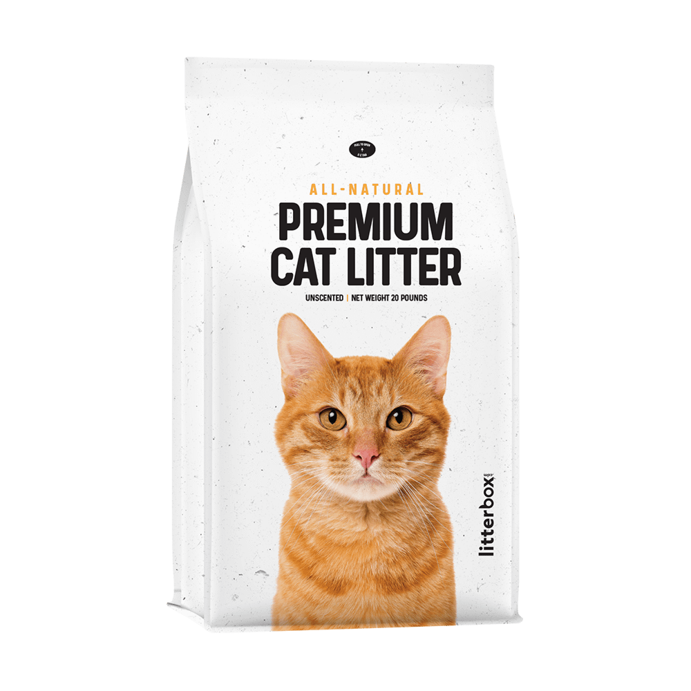 Best low dust cat litter best sale